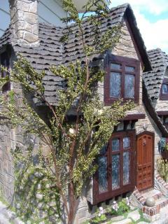 DSCF3677.JPG