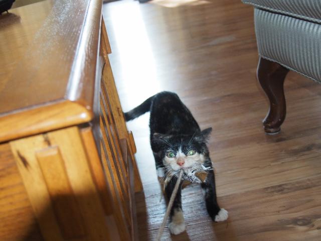 2015-07-19 04.40.16 (640x480) (2).jpg