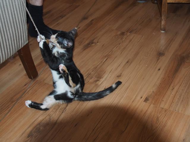 2015-07-25 05.52.50 (640x480).jpg