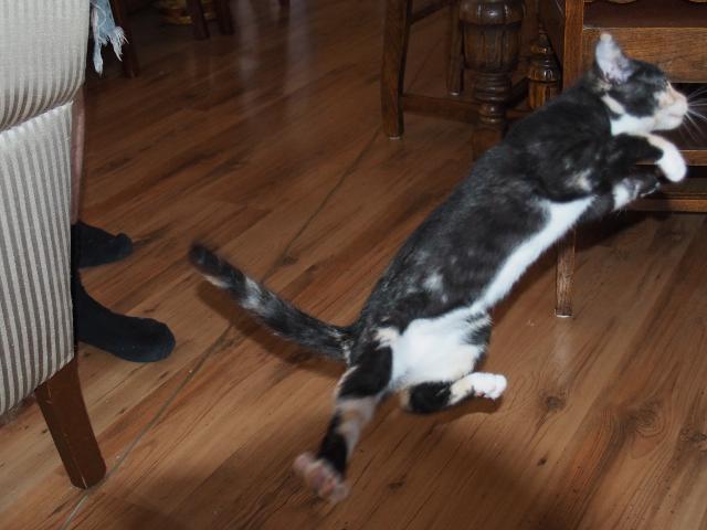 2015-07-25 05.53.20 (640x480) (2).jpg