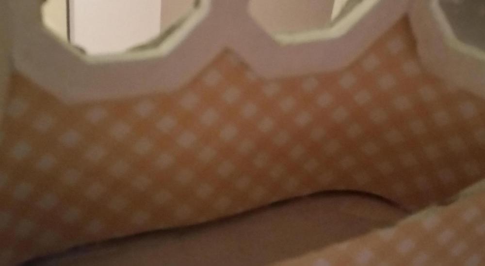 20151129_175808_crop.jpg