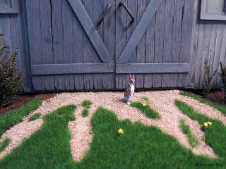 Overgrown gravel ramp