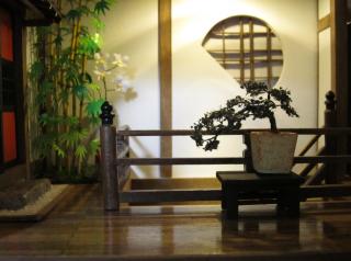 BonsaiandBamboo.JPG