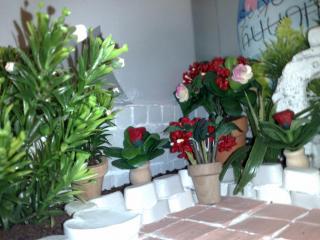 3b Garden 2005.jpg